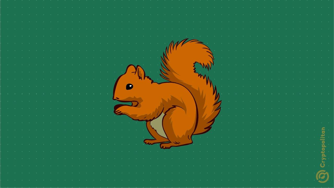 一头鲸鱼提取了1000万PNUT,价值610万美元,占总供应量的1%——PNUT价格将崩溃到何种程度?